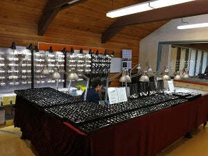 Show My Way - Port Moody Rock and Gem Show